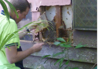 Pest Control Cairns Termite Specialists