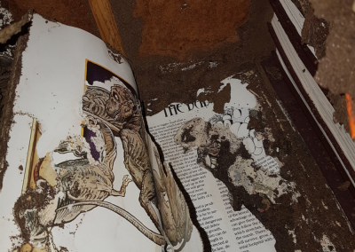 book damaged by rodents