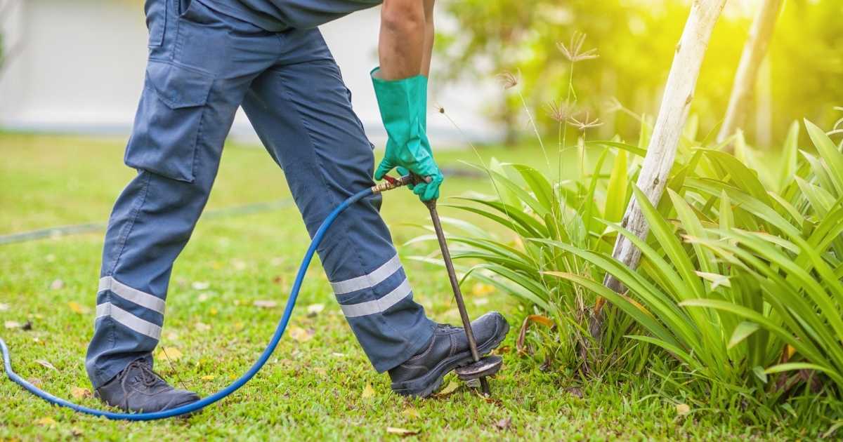 termite barriers for Cairns pest control